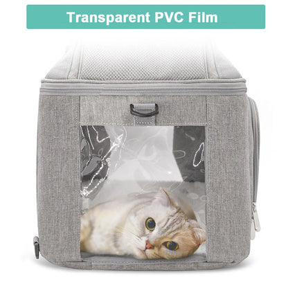 Atmungsaktiver Hunde-Rucksack – Tragbare & Faltbare Transporttasche für kleine Hunde & Katzen – Airline-Zulassung für Reisen
