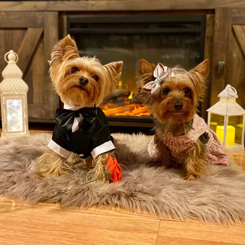 Eleganter Hunde-Smoking – Hochzeitsanzug für Hunde mit Fliege & Hemd – Festliches Outfit für Hunde & Katzen