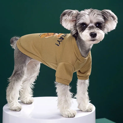 Warmer Hundepullover mit Bärenmotiv – Winter-Sweatshirt für kleine & mittelgroße Hunde und Katzen