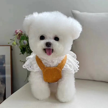 Haustierkleidung – Herbst/Winter Cordrock mit Kürbis-Design für Hunde & Katzen – Warmes Spitzenkleid mit Schnallenverschluss