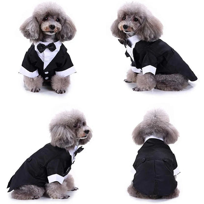 Eleganter Hunde-Smoking – Hochzeitsanzug für Hunde mit Fliege & Hemd – Festliches Outfit für Hunde & Katzen
