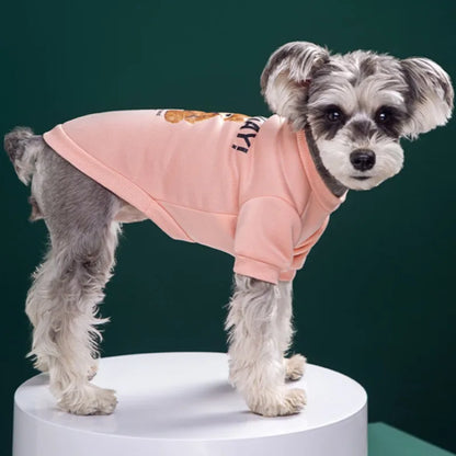 Warmer Hundepullover mit Bärenmotiv – Winter-Sweatshirt für kleine & mittelgroße Hunde und Katzen