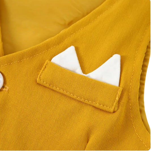 👔 Frühlings-Westenanzug für Jungen – Gentleman-Set mit Langarm-Body, Weste, Hose & Fliege (3–24 Monate)