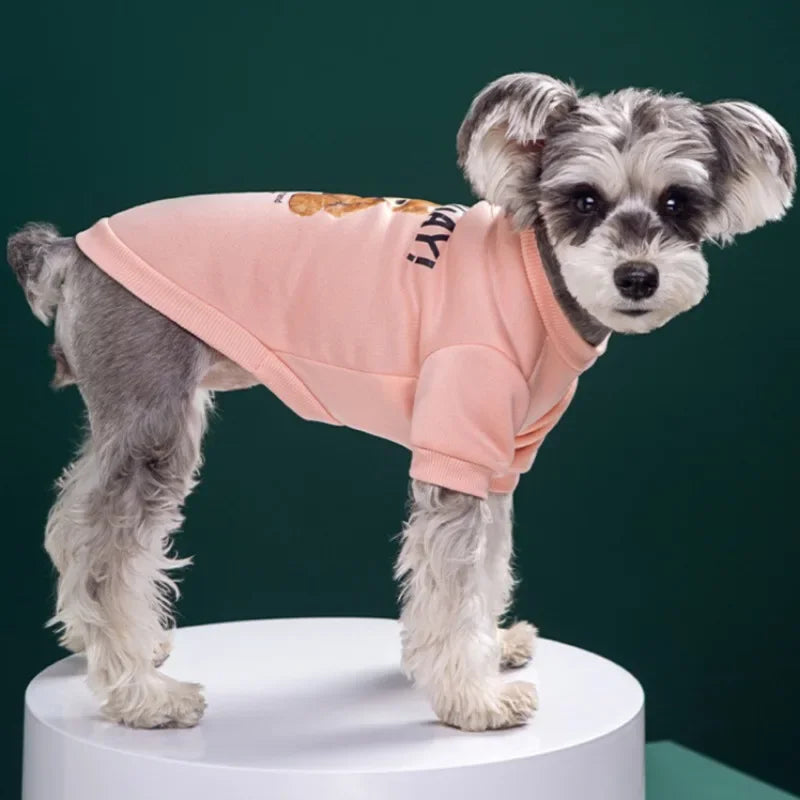 Warmer Hundepullover mit Bärenmotiv – Winter-Sweatshirt für kleine & mittelgroße Hunde und Katzen