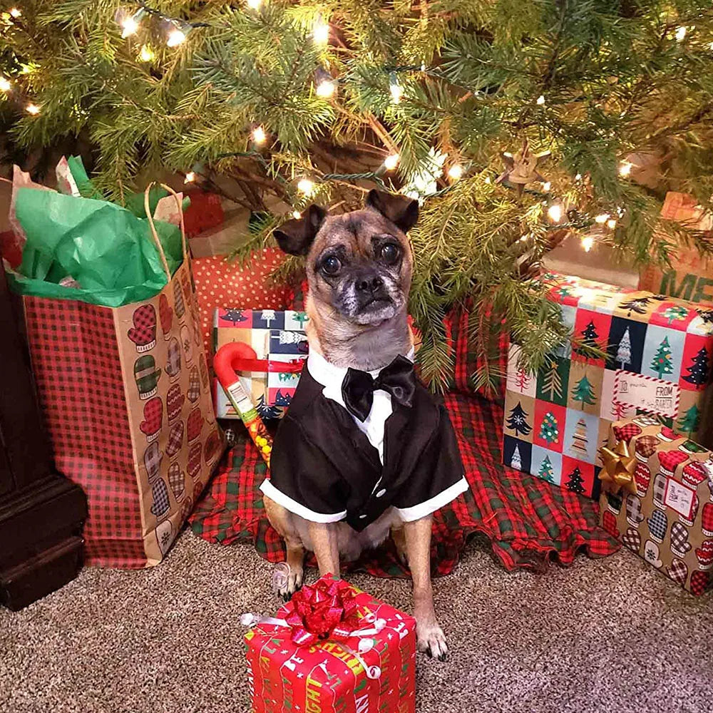 Eleganter Hunde-Smoking – Hochzeitsanzug für Hunde mit Fliege & Hemd – Festliches Outfit für Hunde & Katzen
