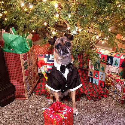 Eleganter Hunde-Smoking – Hochzeitsanzug für Hunde mit Fliege & Hemd – Festliches Outfit für Hunde & Katzen