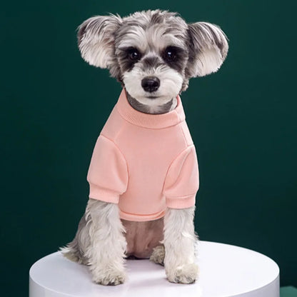 Warmer Hundepullover mit Bärenmotiv – Winter-Sweatshirt für kleine & mittelgroße Hunde und Katzen