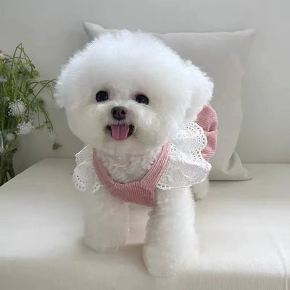 Haustierkleidung – Herbst/Winter Cordrock mit Kürbis-Design für Hunde & Katzen – Warmes Spitzenkleid mit Schnallenverschluss