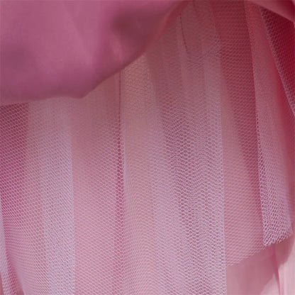 Vintage Prinzessinnenkleid mit Spitze & Stickerei – Luxuriöses Partykleid für Mädchen mit Rüschen & Goldakzenten (1–5 Jahre)
