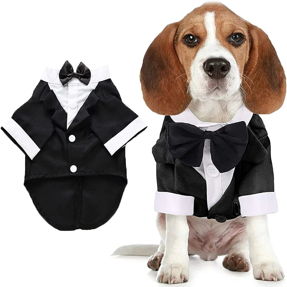 Eleganter Hunde-Smoking – Hochzeitsanzug für Hunde mit Fliege & Hemd – Festliches Outfit für Hunde & Katzen