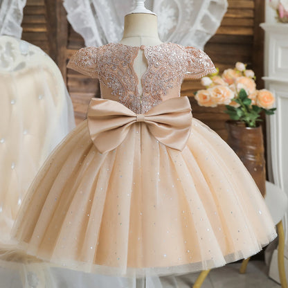 Vintage Prinzessinnenkleid mit Spitze & Stickerei – Luxuriöses Partykleid für Mädchen mit Rüschen & Goldakzenten (1–5 Jahre)