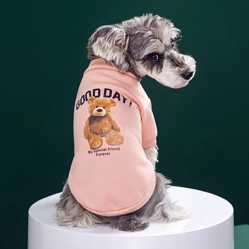 Warmer Hundepullover mit Bärenmotiv – Winter-Sweatshirt für kleine & mittelgroße Hunde und Katzen