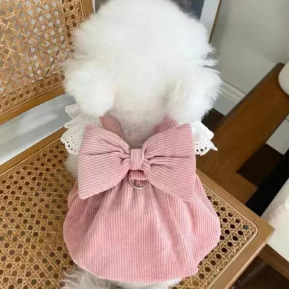 Haustierkleidung – Herbst/Winter Cordrock mit Kürbis-Design für Hunde & Katzen – Warmes Spitzenkleid mit Schnallenverschluss