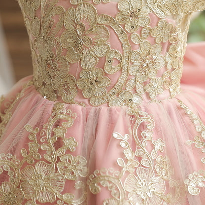 Vintage Prinzessinnenkleid mit Spitze & Stickerei – Luxuriöses Partykleid für Mädchen mit Rüschen & Goldakzenten (1–5 Jahre)