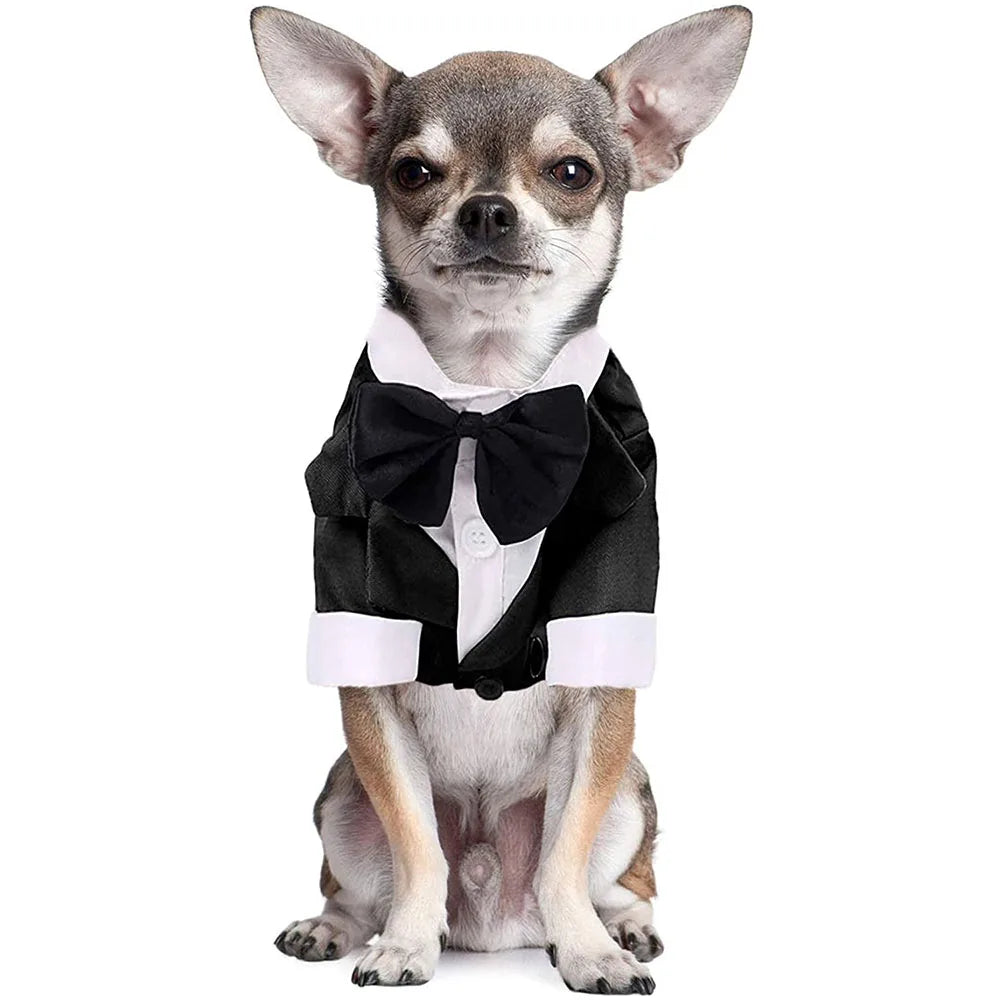 Eleganter Hunde-Smoking – Hochzeitsanzug für Hunde mit Fliege & Hemd – Festliches Outfit für Hunde & Katzen