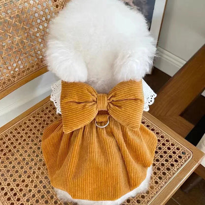 Haustierkleidung – Herbst/Winter Cordrock mit Kürbis-Design für Hunde & Katzen – Warmes Spitzenkleid mit Schnallenverschluss