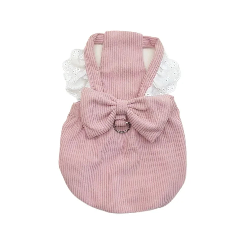 Haustierkleidung – Herbst/Winter Cordrock mit Kürbis-Design für Hunde & Katzen – Warmes Spitzenkleid mit Schnallenverschluss