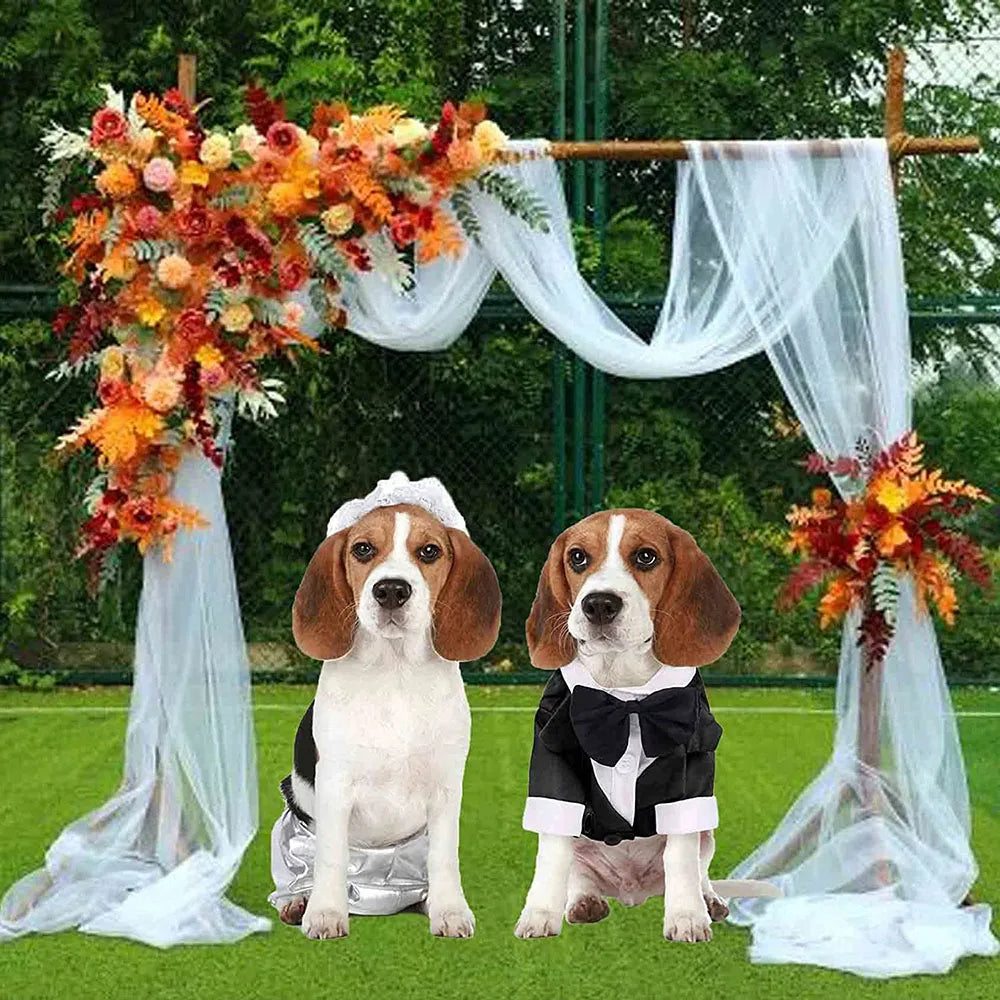 Eleganter Hunde-Smoking – Hochzeitsanzug für Hunde mit Fliege & Hemd – Festliches Outfit für Hunde & Katzen