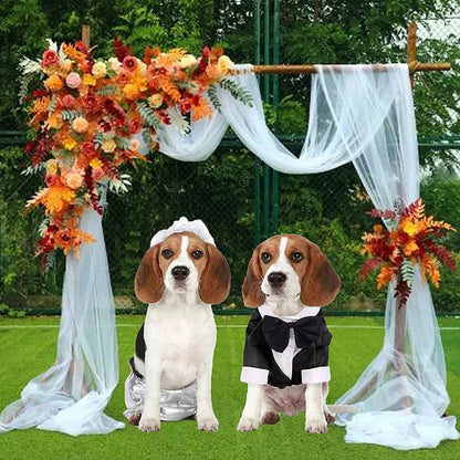 Eleganter Hunde-Smoking – Hochzeitsanzug für Hunde mit Fliege & Hemd – Festliches Outfit für Hunde & Katzen